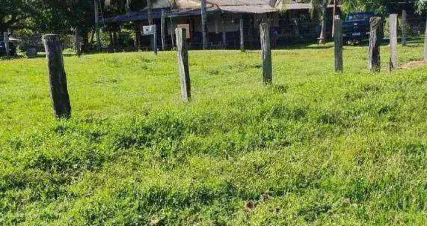 Fazenda à venda, 6050000 m² por r$ 12.000.000 - zona rural - torixoréu/mt