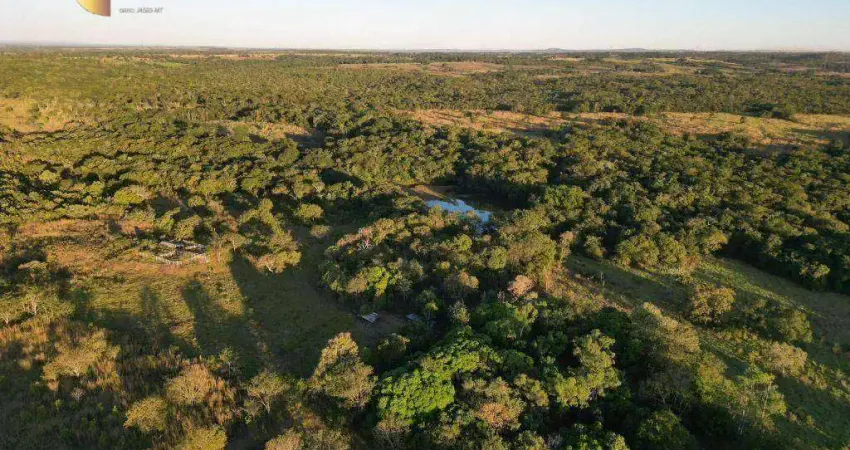 Fazenda com 4 dormitórios à venda, 3460000 m² por r$ 3.800.000,00 - zona rural - jangada/mt