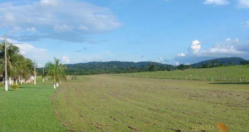 Fazenda à venda na Zona Rural, Rondolândia
