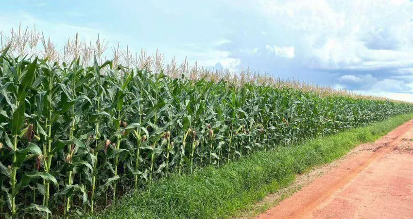 Fazenda à venda na Zona Rural, Ipiranga do Norte 