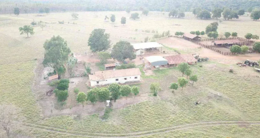 Fazenda com potencial agrícola e reflorestamento em salto do céu – mt