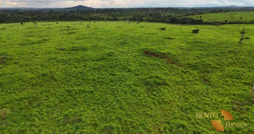 Fazenda à venda na Zona Rural, Rondolândia