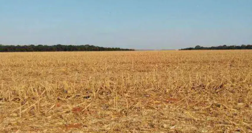 Fazenda à venda na Zona Rural, São José do Rio Claro 