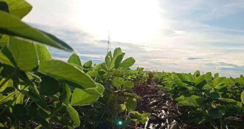 Fazenda à venda, 5600000 m² por r$ 33.000.000 - zona rural - são josé do rio claro/mt