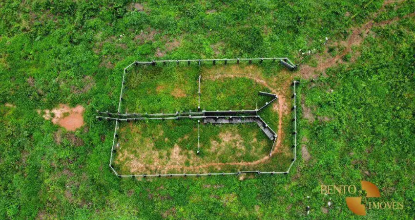 Fazenda à venda, 10240000 m² por r$ 17.000.000 - loteamento cidade nova - nova mutum/mt