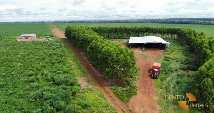 Fazenda com 3 dormitórios à venda, 7400000 m² por r$ 63.250.000 - zona rural - matupá/mt