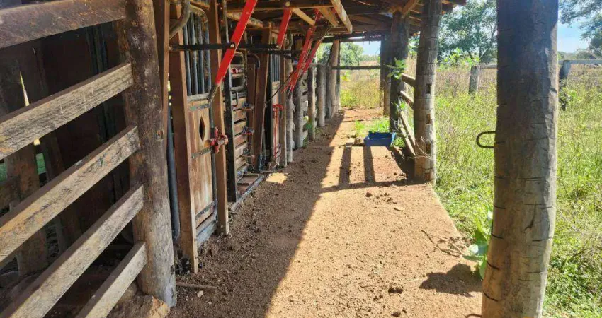 Fazenda à venda, 99300000 m² por r$ 55.000.000 - zona rural - cocalinho/mt