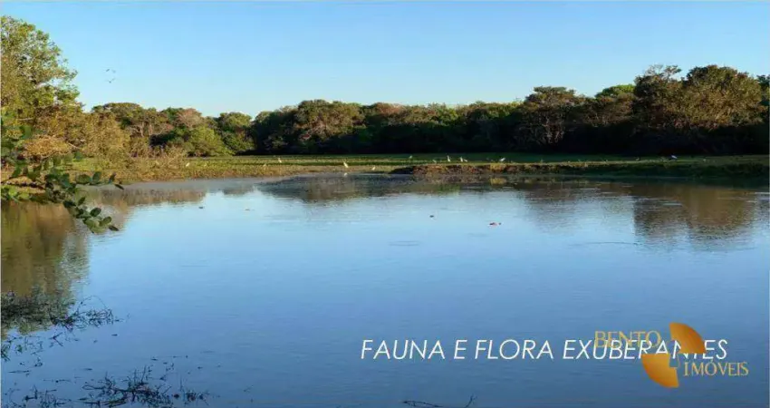 Fazenda com 3 dormitórios à venda, 75300000 m² por r$ 72.000.000,00 - zona rural - cocalinho/mt