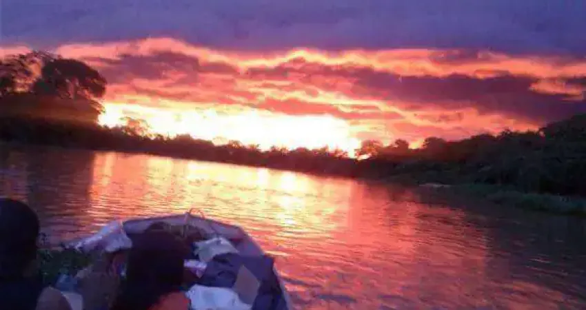 Chácara com 3 dormitórios à venda, 62500 m² por r$ 235.000 - zona rural - barão de melgaço/mt