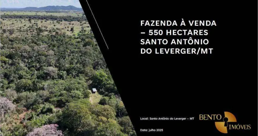 Fazenda à venda em santo antônio do leverger/mt – 550 ha de terra de cultura com estrutura completa