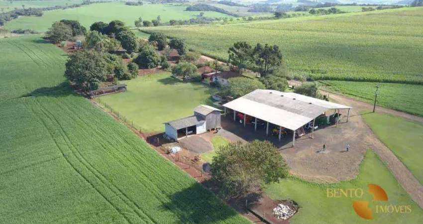 Fazenda à venda, 49260000 m² por r$ 210.000.000 - zona rural - goiânia/go