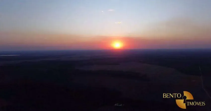 Fazenda à venda, 290000000 m² por r$ 170.000.000 - zona rural - luciara/mt