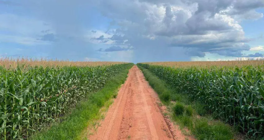Fazenda à venda, 36010000 m² por r$ 227.700.000 - zona rural - ipiranga do norte/mt