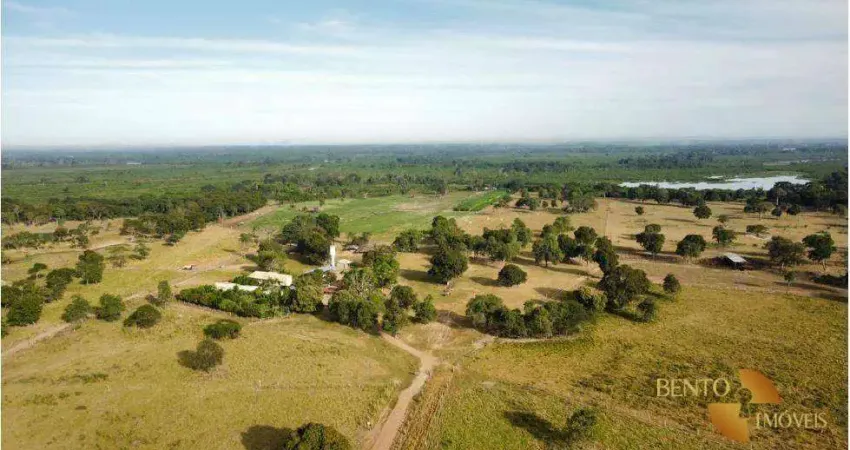Fazenda à venda, 13000000 m² por r$ 28.000.000 - distrito vila aparecida - zona rural - cáceres/mt