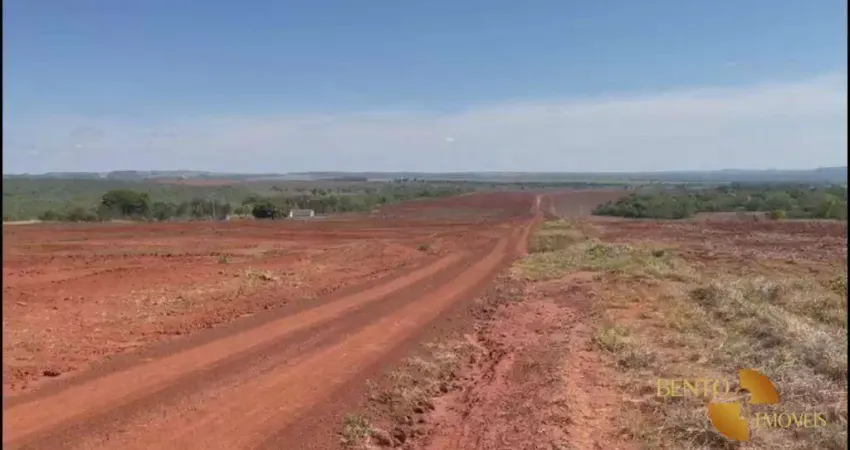 Fazenda para arrendamento, 15000000 m² por r$ 1.000/mês - 256 - tesouro/mt