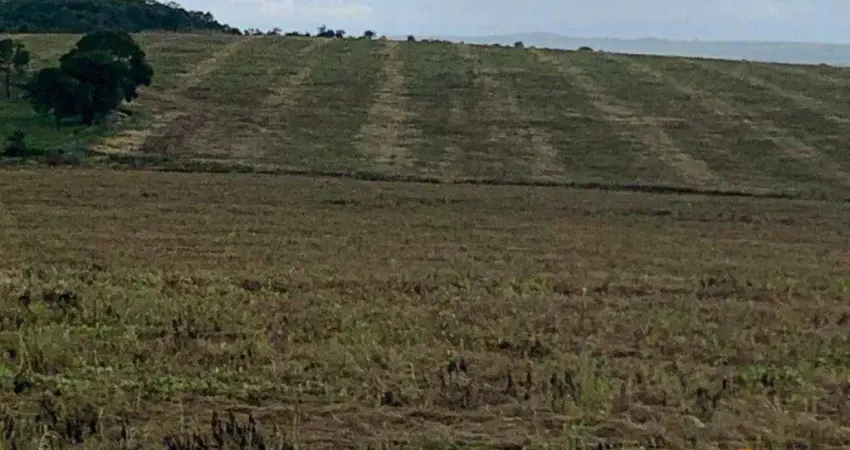 Fazenda à venda, 10164000 m² por r$ 65.000.000 - zona rural - ipameri/go