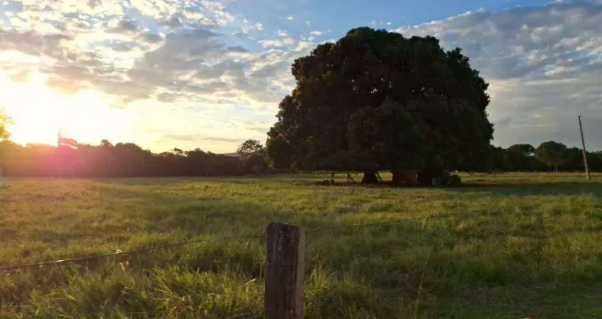 Fazenda à venda, 9486400 m² por r$ 12.000.000 - zona rural - cáceres/mt