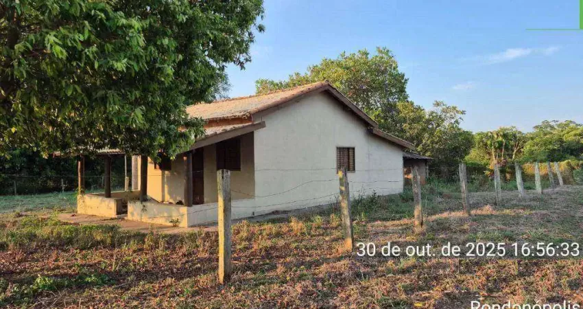 Fazenda à venda, 1218609 m² por r$ 6.500.000,00 - micro dist anezio pereira de o - rondonópolis/mt