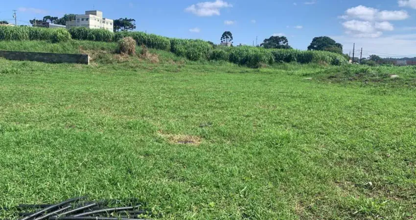Terreno à venda na Rua Sudão, 342, Rio Verde, Colombo