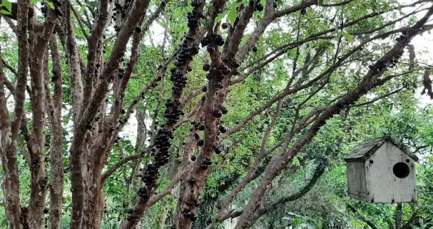 Chácara / sítio à venda no Bom Jardim, Jundiaí
