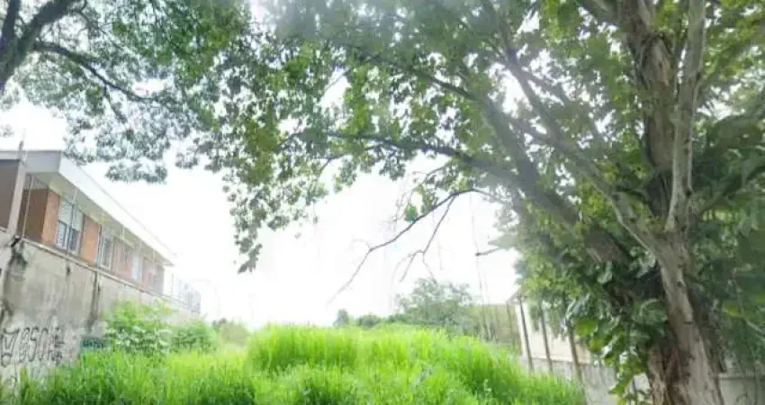 Terreno à venda na Rua Pau-Brasil, 1, Boaçava, São Paulo