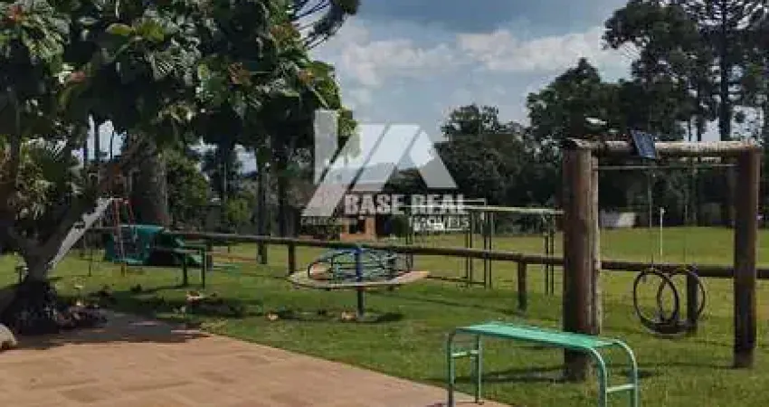 Chácara / sítio com 6 quartos à venda na Centro, Centro, Palmital