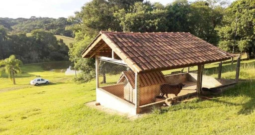 Chácara para Venda em Campo Largo, Sitio Santa Ana, 2 dormitórios, 1 banheiro, 10 vagas