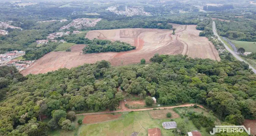 Terreno Industrial para Locação em Campo Largo, Ratada
