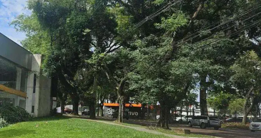 Terreno para Locação em Curitiba, Mercês
