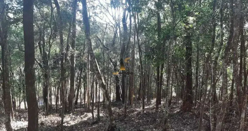 Terreno à venda na Alameda da Liberdade, Arvoredo, Nova Lima
