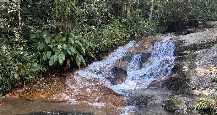 Chácara / sítio com 3 quartos à venda na Avenida Cantório F. da Silva, Moura, Canelinha