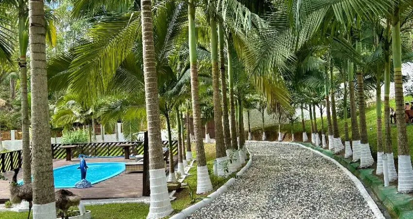 Maravilhoso sítio completo com aves exóticas no município de canelinha