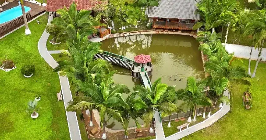 Maravilhoso sítio completo com aves exóticas no município de canelinha