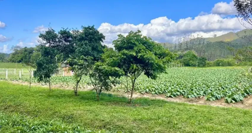 Lindo terreno totalmente plano em são joão batista para sítio