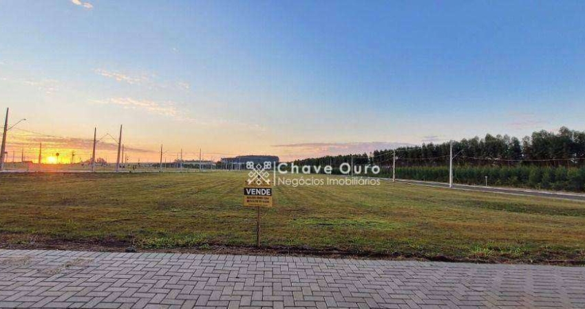 Terreno à venda, 323 m² por R$ 350.000,00 - Recanto Tropical - Cascavel/PR