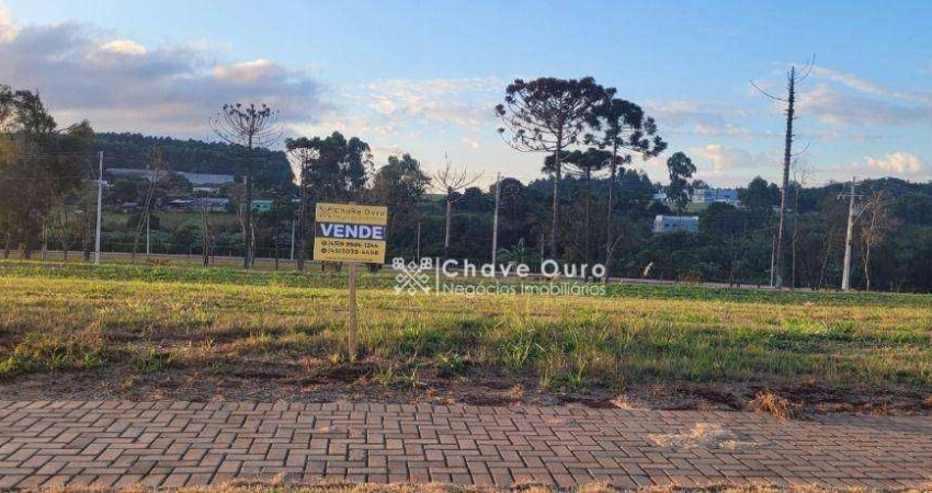 Terreno à venda, 322 m² por R$ 350.000,00 - Recanto Tropical - Cascavel/PR