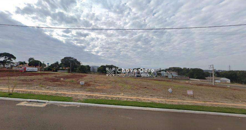 Terreno à venda, 402 m² por R$ 420.000,00 - Jardim Pancera - Toledo/PR