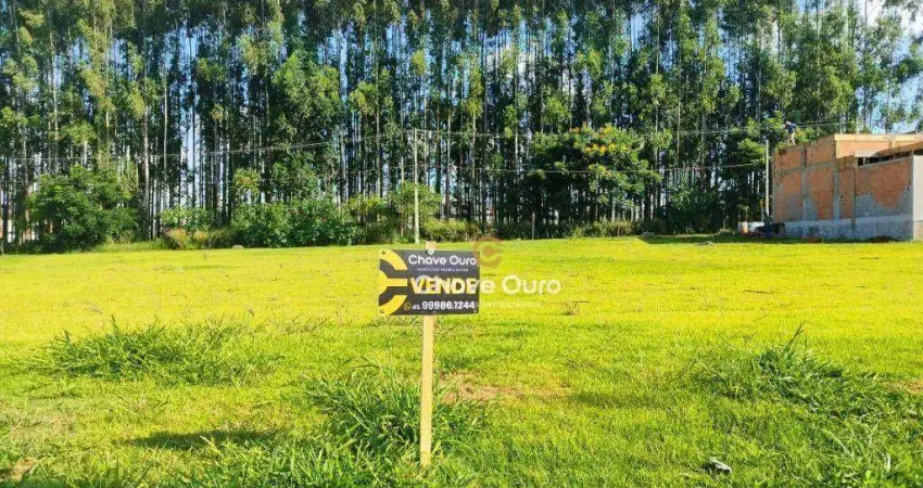 Terreno à venda no Recanto Tropical, Cascavel 