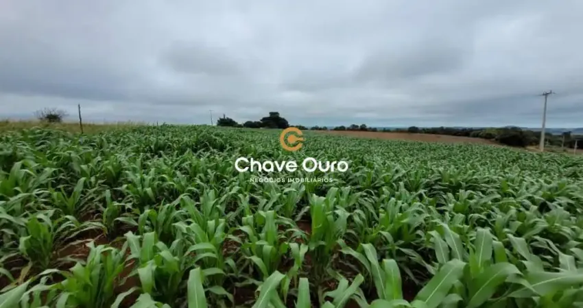 Terreno à venda no Centro, Santa Tereza do Oeste