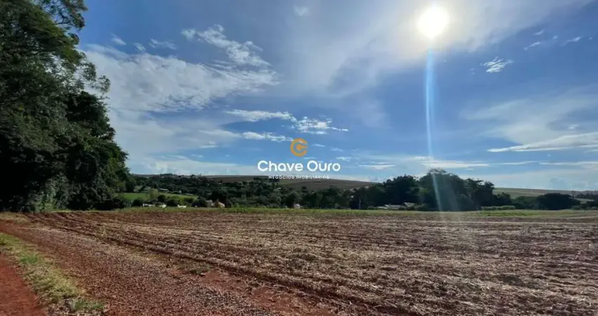 Chácara / sítio com 1 quarto à venda na Área Rural de Toledo, Toledo