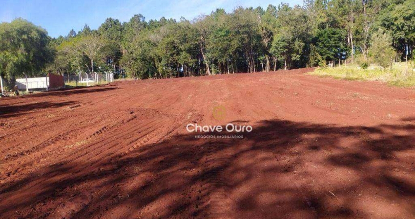 Terreno à venda, 6000 m² por R$ 1.100.000,00 - Boa Vista da Aparecida - Boa Vista da Aparecida/PR