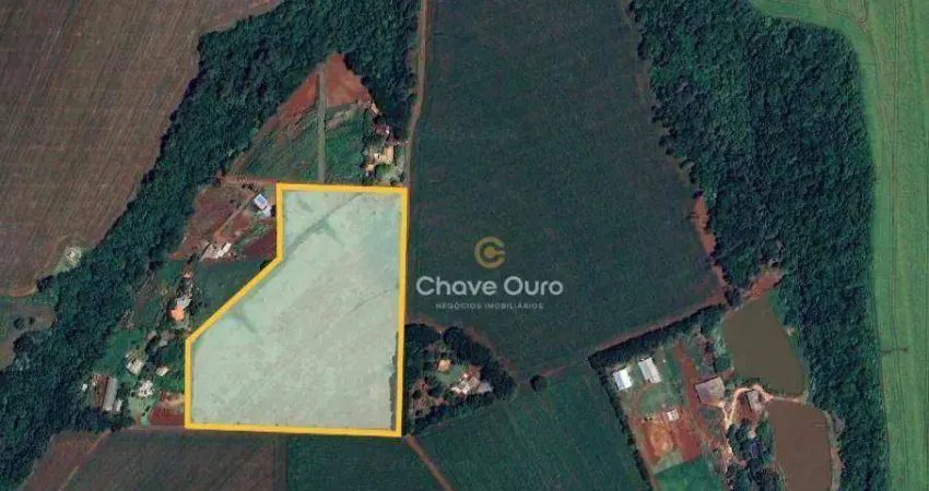 Chácara / sítio com 1 quarto à venda no Jardim Porto Alegre, Toledo 
