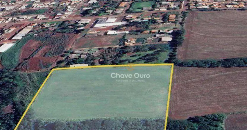 Chácara / sítio com 1 quarto à venda no Conjunto Habitacional São Francisco, Toledo 