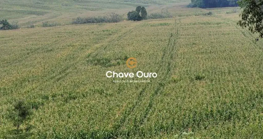 Terreno à venda em Zona Rural, Cascavel