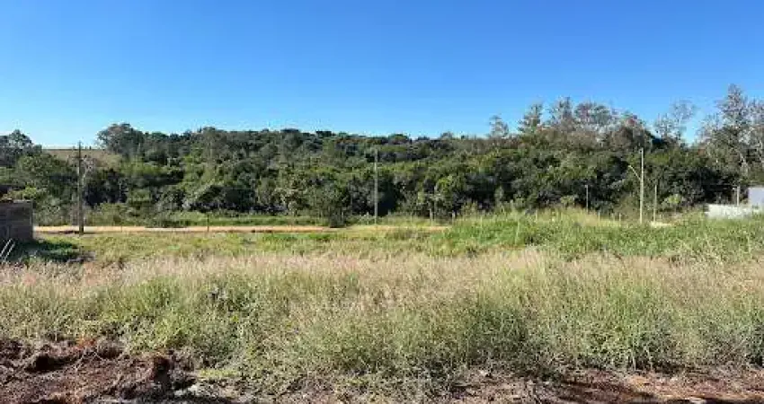Terreno à venda, 250 m² por R$ 140.000,00 - Jardim Coopagro - Toledo/PR