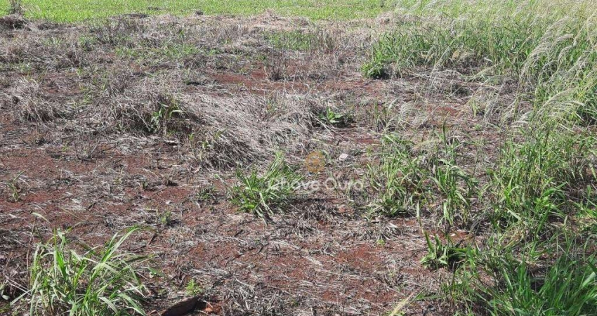 Terreno à venda por R$ 500.000 - Vila Becker - Toledo/PR