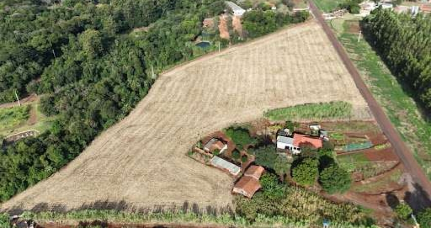 Chácara com 1 dormitório à venda, 20000 m² por R$ 630.000,00 - Novo Sobradinho - Toledo/PR