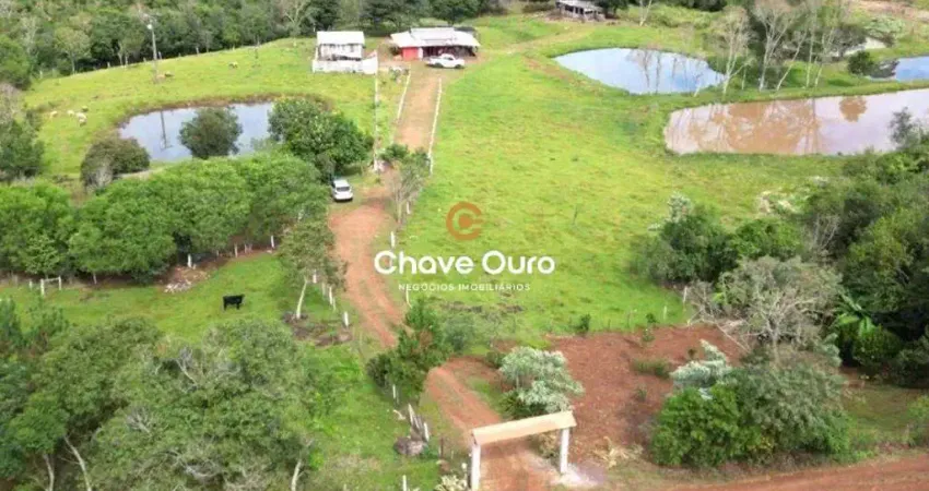 Chácara / sítio à venda no Zona Rural, Guaraniaçu