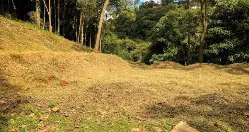 Terreno em condomínio fechado à venda na Alameda Monte Bernina, Vila Alpina, Nova Lima
