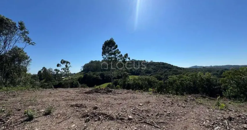 Chácara / sítio à venda na Estrada Linha Vitória, 001, Bela Vista, Carlos Barbosa